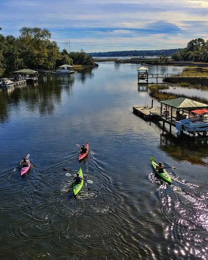 Charleston Kayak Tours 04