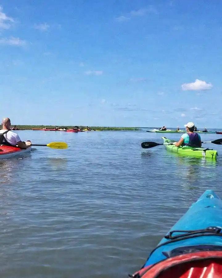 Charleston Kayak Tours 09
