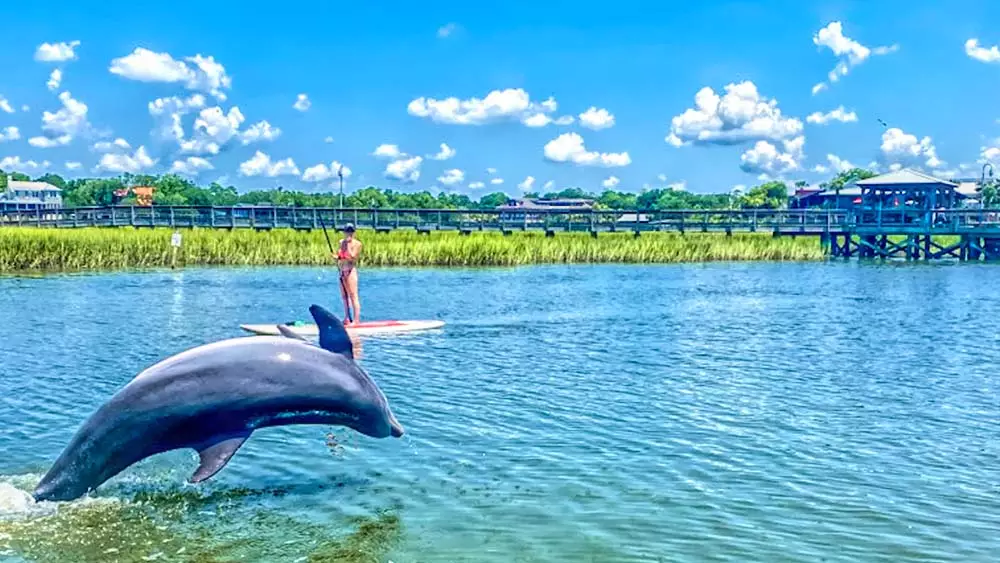Charleston  Kayak and Paddleboard 03