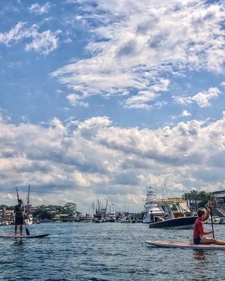 Charleston Paddleboard Tours 04