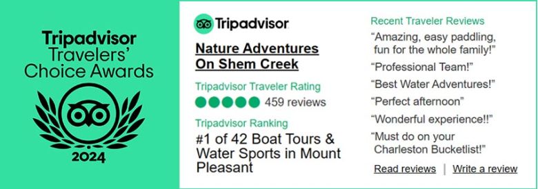 Nature Adventures Trip Advisor